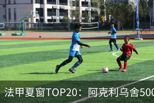法甲夏窗TOP20：阿克利乌舍5000万欧成标王，费兰4850万欧第二